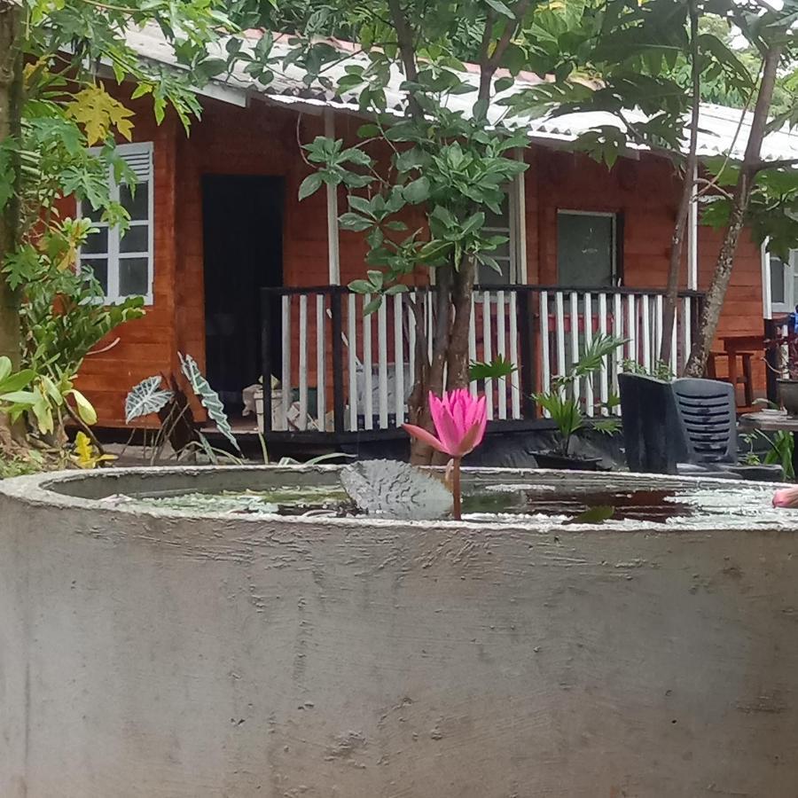 My House אהנגאמה מראה חיצוני תמונה