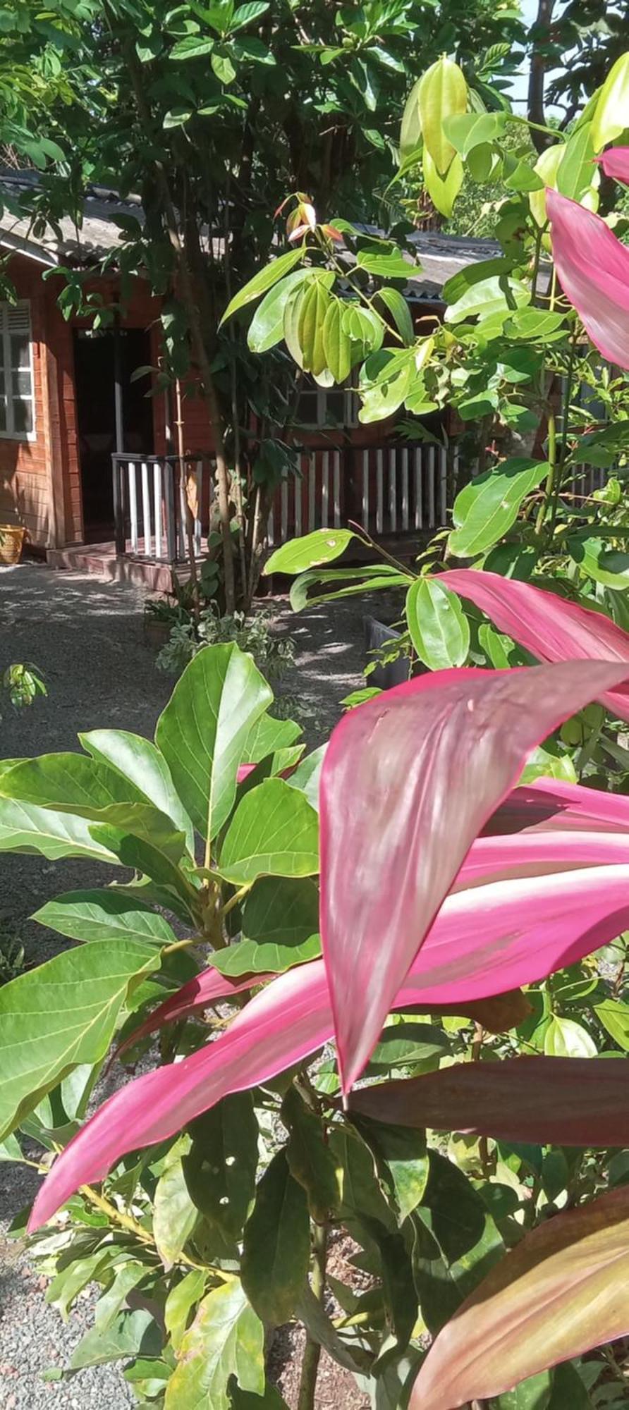 My House אהנגאמה מראה חיצוני תמונה